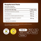 NMN 4-in-1 NAD+ Support