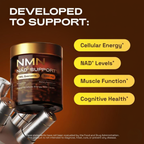 NMN 4-in-1 NAD+ Support